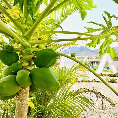Lägenhet Bernegal Maday, Heated Bathtub Piscina Y Jardin By Deihu Experiences *