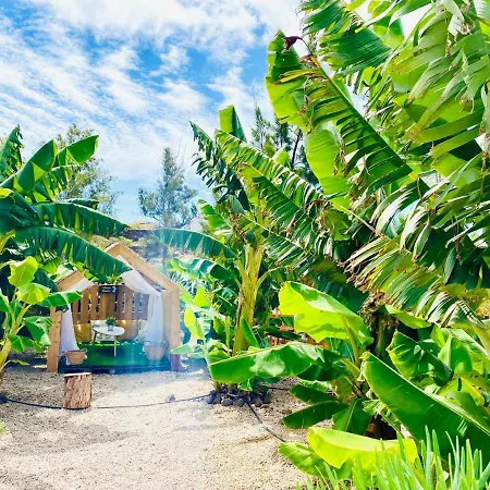 Bernegal Maday, Heated Bathtub Piscina Y Jardin By Deihu Experiences *