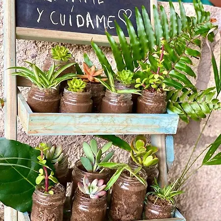 Bernegal Maday, Heated Bathtub Piscina Y Jardin By Deihu Experiences Lägenhet