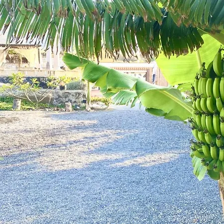Bernegal Maday, Heated Bathtub Piscina Y Jardin By Deihu Experiences Lägenhet *