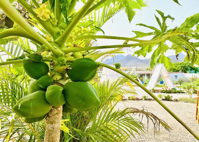 Appartamento Bernegal Maday, Heated Bathtub Piscina Y Jardin By Deihu Experiences *