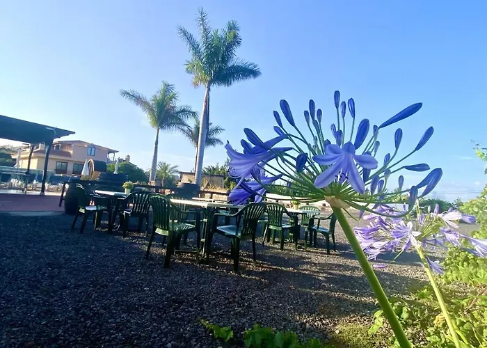 Appartamento Bernegal Maday, Heated Bathtub Piscina Y Jardin By Deihu Experiences Buzanada